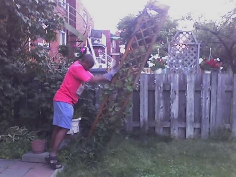 20070712_compost_2043