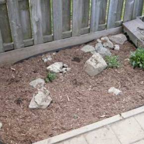 Rock Garden