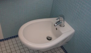 20070623_bidet