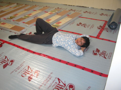 20080112_10_floormembrane