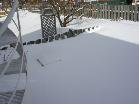 20080309_4_bigsnow