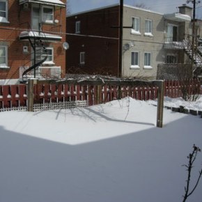 Snow up to&nbsp;our…