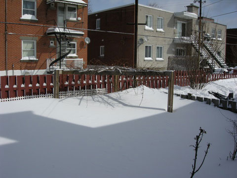 20080309_5_bigsnow