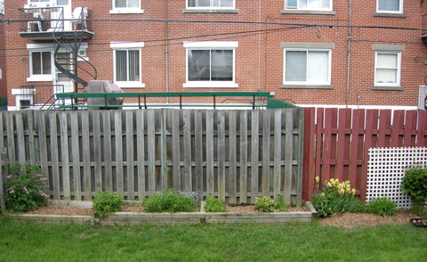 20080524_9_backyard