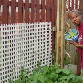 String beans for&nbsp;supper