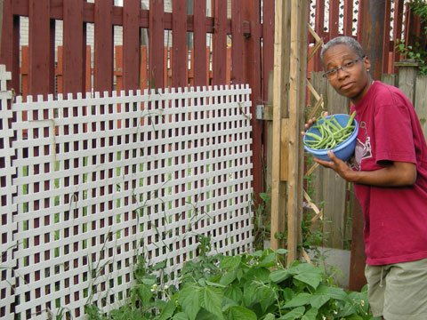 20080708_2_stringbeans