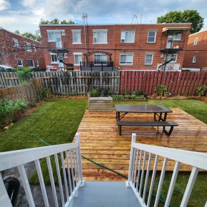 Backyard Landscaping